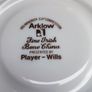 Vintage Arklow Autumn Leaves Fine Irish Bone China  Golf Player Wills Image 6