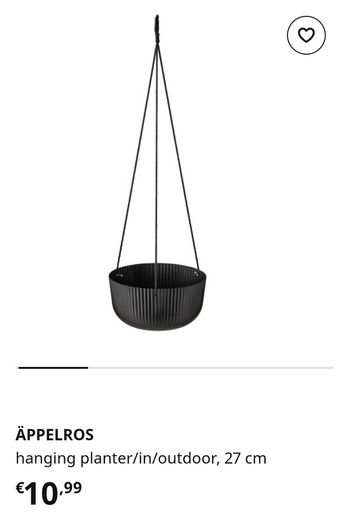 Ikea Aeppelros Plant Hangers (Set of 2)