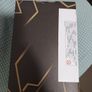 Transformer legacy  Magnificus Image 3