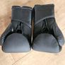 Everlast Elite 12oz boxing gloves Image 3