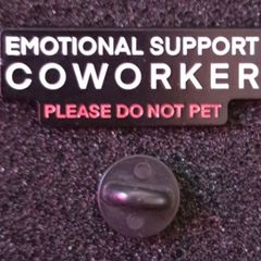 Emotional support co-worker, pin back badge.