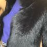 LK Benett Sheepskin Coat Image 7