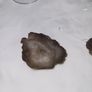 Grey kidney shaped agate euro Image 6