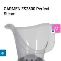 face steamer