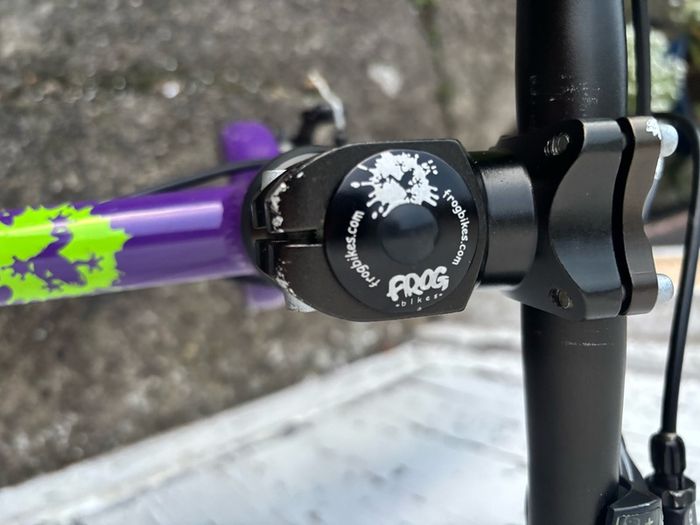 Frog 62 kids bike