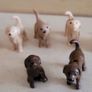 Playmobil cats and dogs Image 3