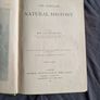 Wood's Natural History, 1893 ed. Incredible Condition. Image 8