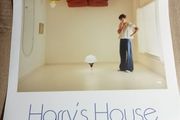 Harry Styles Poster