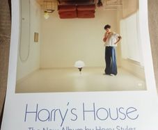 Harry Styles Poster