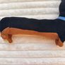 Secret Life Of Pets Buddy The Dachshund Sausage Dog Soft Plush approx. length 41 cm. (without tale) Used Please see photos Image 4