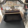 Bird cage Image 6