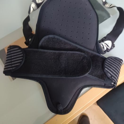back protector