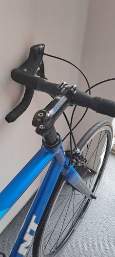 Giant TCR 1