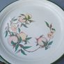 Large Vintage Arklow Honeystone Plates Image 3