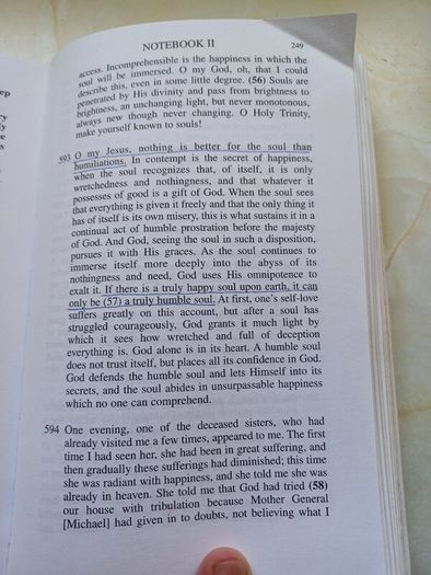 Divine Mercy in my Soul