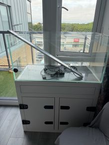 Aquarium about 200 litres with a light