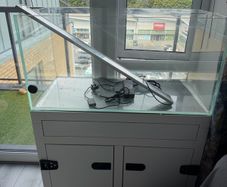 Aquarium about 200 litres with a light