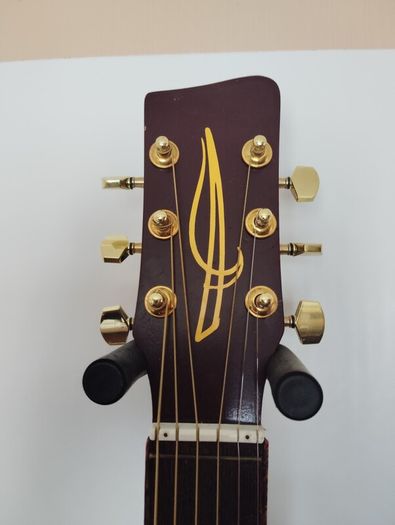 very rare semi acoustic guitar