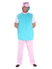 !!!SALE!!! Daddy Pig Costume