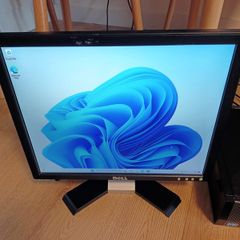 17" Dell Monitor for office or home E176FPF