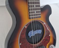 Pignose PGG-200,  Brown Sunburst, Excellent Condition, Original Gig Bag