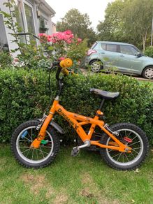 14inch Bike Dinosaurs design