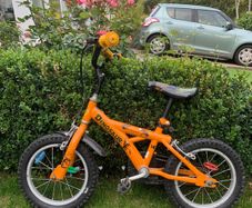 14inch Bike Dinosaurs design