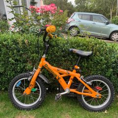 14inch Bike Dinosaurs design