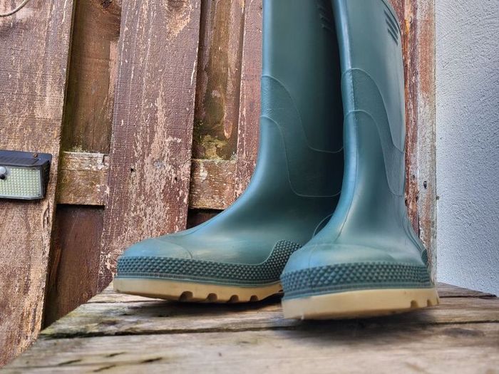 Wellington Boots