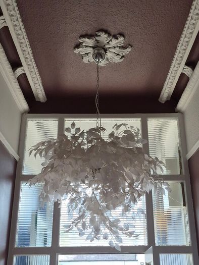 Flamingo white light