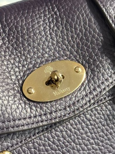 Mulberry Mini Alexa Bag