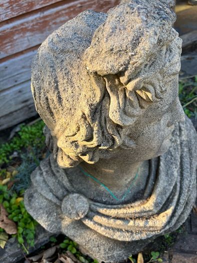 Bust