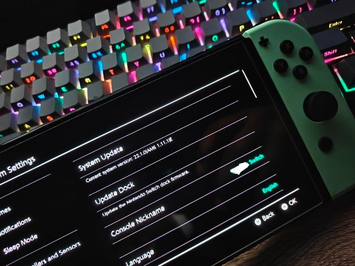 Modded Nintendo Switch OLED