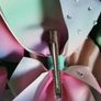 jojo siwa bows Image 5