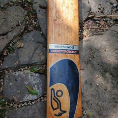 cricket