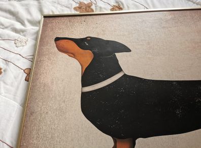 Dog picture