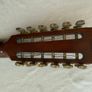 Daion 12-String Acoustic Guitar Image 3