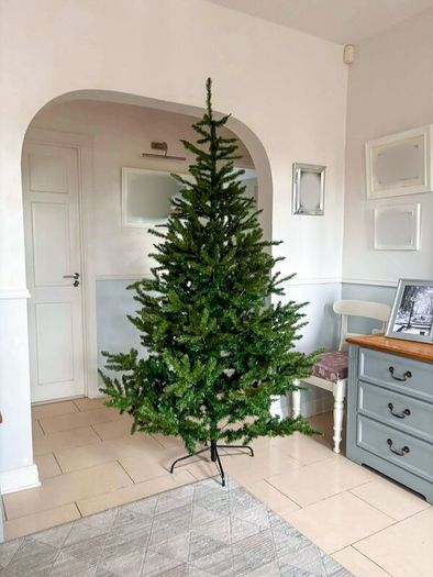 Christmas trees.