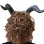 Beauty and the beast halloween latex mask with hair. Image 2