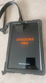 diagzone Pro diagnostic