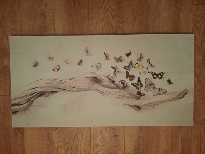 Butterfly/tree branch canvas picture