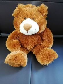 Teddy Bear