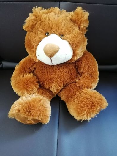 Teddy Bear