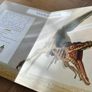 Dinosaur bundle- electronic Dino included and figures Image 4