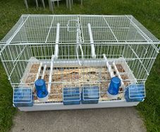 small bird cage