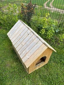 Dog House