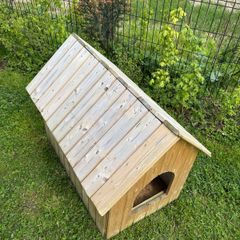 Dog House