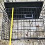 Dog Run & Transport Cages Image 9