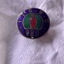 old Irish badge Image 4