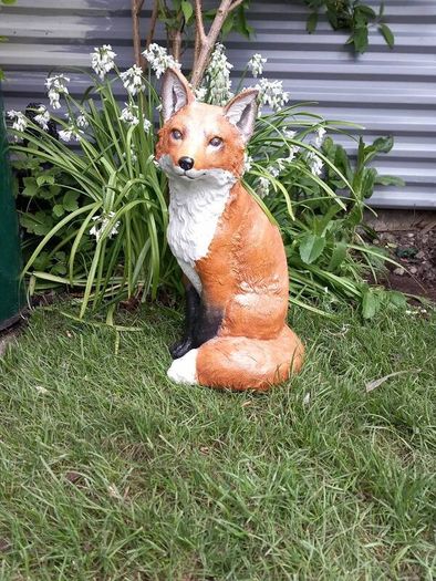 Fox Family